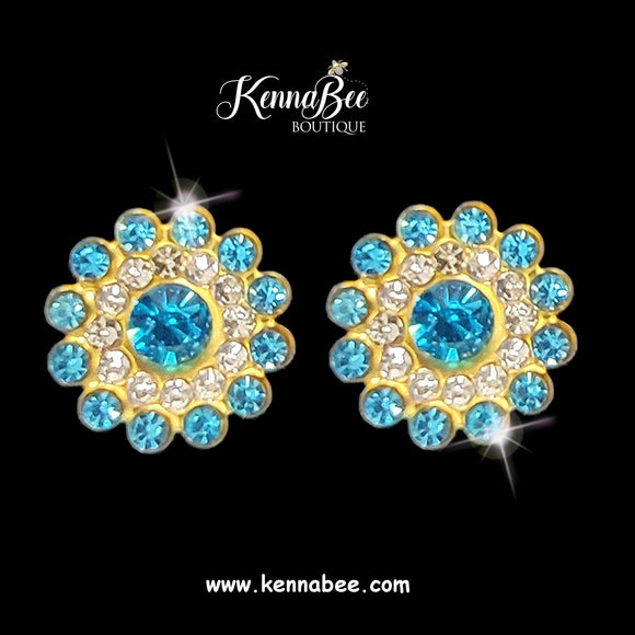 Aqua Magnet Studs